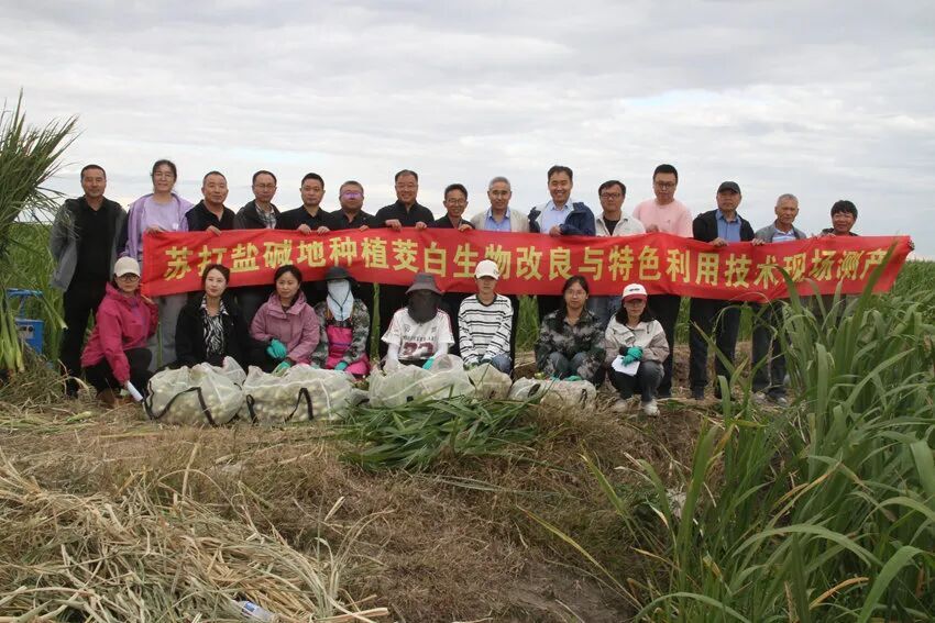 微信图片_2025-10-11_083003_139.jpg